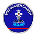 Vine Branch Radio